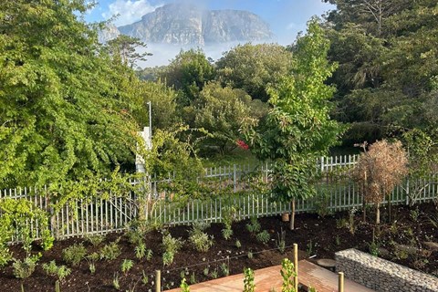 Fcfebb63 D496 40Ca 8F17 D4ad241f42e1